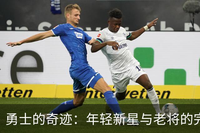 勇士的奇迹：年轻新星与老将的完美配合
