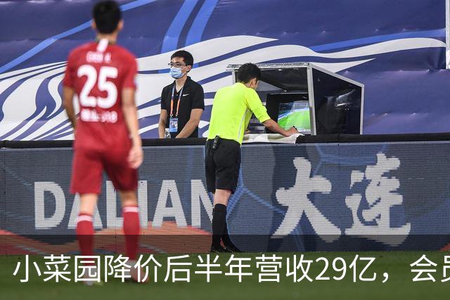 小菜园降价后半年营收29亿，会员复购占大头